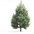 Modern Pine Tree Modern Tree Forest Pine Tree 3d model