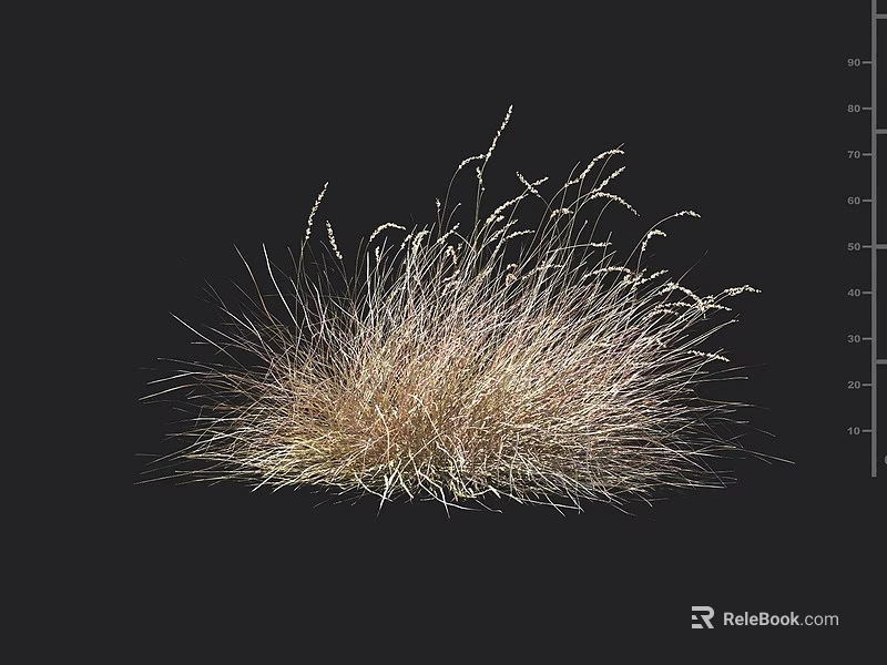 Light Brown And White Fluffy Grass In Black Background With Ruler Lines On The Right 3d model 