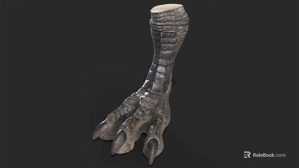 Realistic Dinosaur Claw Model With Scaly Skin Texture And Sharp Claws 3d model