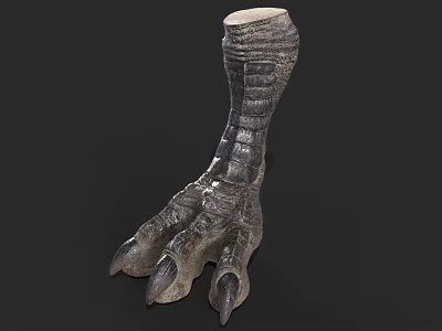 Realistic Dinosaur Claw Model With Scaly Skin Texture And Sharp Claws 3d model