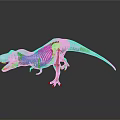 Transparent Dinosaur Skeleton Model With Realistic Anatomical Detail And Clear Structure