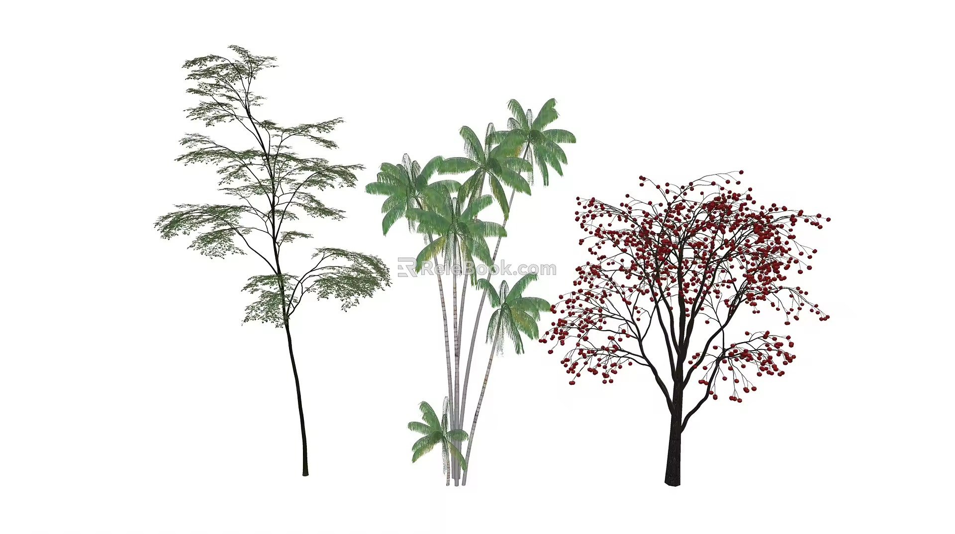 Modern Tree Landscape Tree 3d model