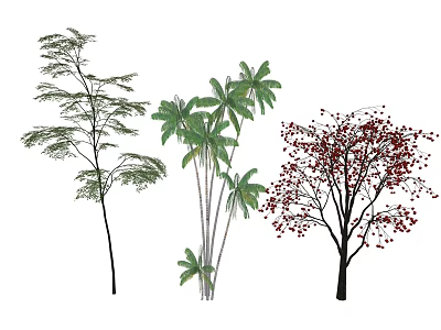Three Diverse Arbor Trees With Different Leaf Shapes Red Berries And Palm Fronds 3d model