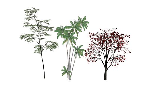 Modern Tree Landscape Tree 3d model