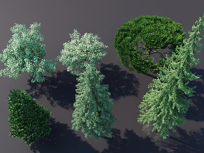 Various Arbor Trees Showcasing Diverse Foliage Shapes and Lush Green Canopies 3d model