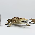 Modern Animal Combination 3d model