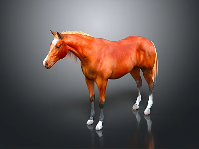 Brown Horse With Golden Mane Standing On Black Background And White Hooves 3d model