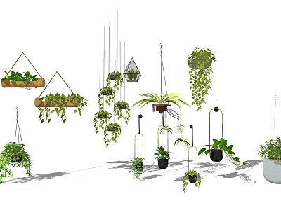 Various Styles of Hanging Planters with Lush Green Plants for Indoor Decoration 3d model