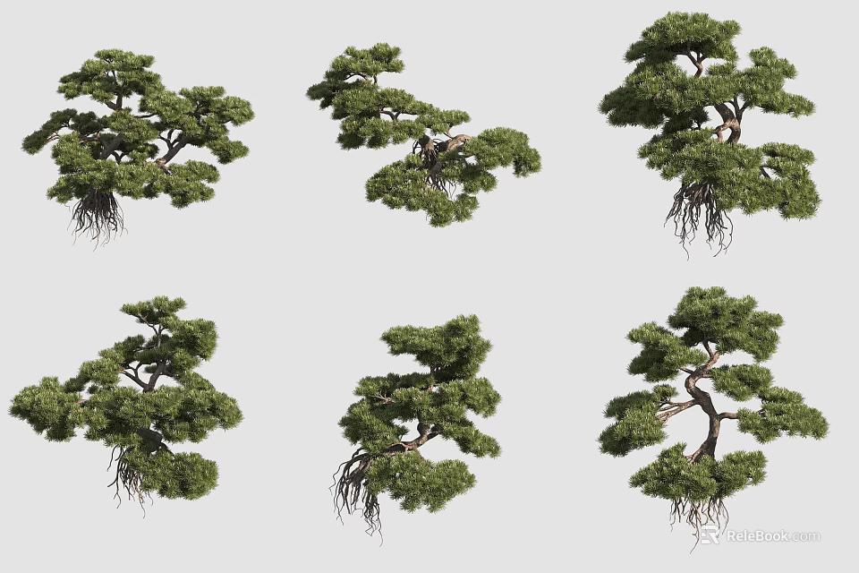 Various Shaped Bonsai Plants With Lush Green Foliage And Exposed Roots 3d model 