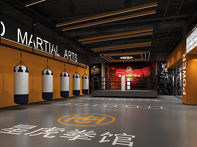 Martial Arts Training Gym Spacious Interior With Hanging Punching Bags And Boxing Ring 3d model
