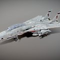 F14 Tomcat Fighter 3d model