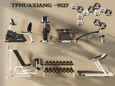 Home Gym Sports Equipment With Treadmill Dumbbells Exercise Bike And Fitness Bench 3d model