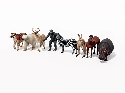 Diverse Wild Animal Collection Featuring Tiger Polar Bear Zebra and Hippopotamus 3d model