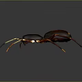 Detailed Reddish Brown Spider Featuring Yellow Striped Legs On Dark Background
