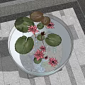 Round Fish Tank Featuring Pink Lotus Flowers Lily Pads And Colorful Fish On Tiled Floor
