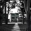 Modern Multistory Office Building With Brick And Glass Exterior Surrounded By Trees Grass Pathway