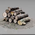 Natural Wood Material Logs Stacked With Bark And Green Moss On Circular Ground