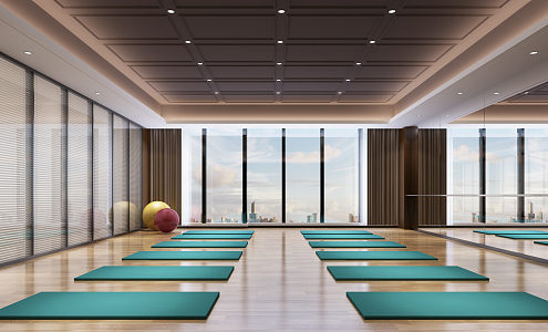 Modern Yoga Room 3d model