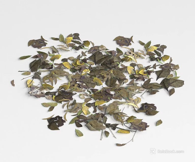 Ground Cover Plants With Green And Yellow Leaves Scattered On White Background 3d model 