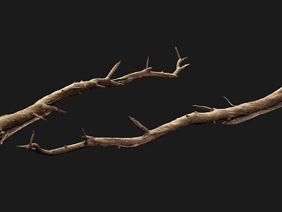 Natural Stone and Wood Branches with Rough Textured Surfaces for Decorative Use 3d model