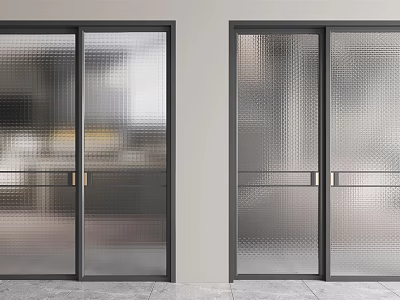 Stylish Modern Interior Sliding Doors With Frosted Glass And Black Frames 3d model