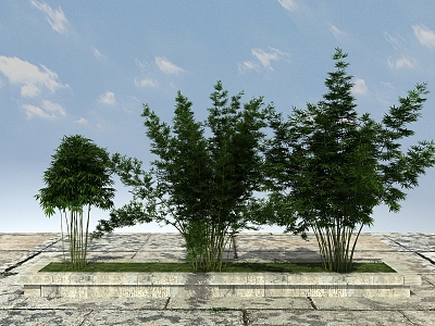 Modern Bamboo Landscape Bamboo Plants 3d model