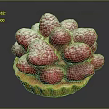 Golden Crust Tart Topped With Fresh Raspberries And Powdered Sugar
