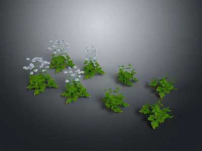 Lush Green Plants With White Flowers And Diverse Leafy Foliage 3d model
