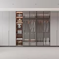 Modern Walk in Closet With Spacious Storage And Natural Light 3d model