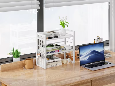 Bright Study Room With Wooden Desk Multi tiered Shelf Books Green Plants And Laptop 3d model