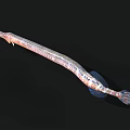 Brown Spotted Aquatic Animal With Long Body Elongated Snout And Swimming Posture Underwater