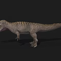 Realistic Tyrannosaurus Rex 3D Model With Open Mouth Sharp Teeth And Detailed Texture
