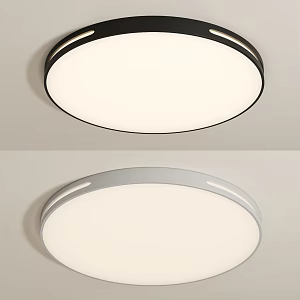 Modern minimalist ceiling lamp 3d model