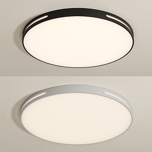 Modern minimalist ceiling lamp 3d model