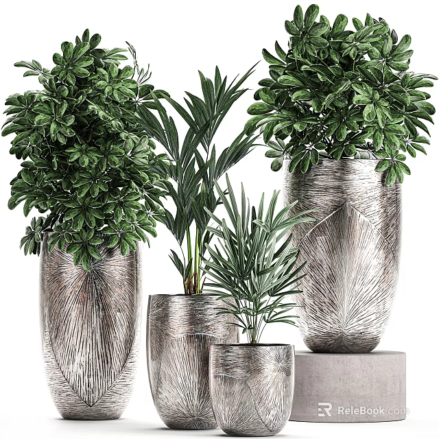 Bonsai Potted Plants in Silver Textured Pots with Green Foliage for Indoor Decoration 3d model 