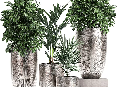Bonsai Potted Plants in Silver Textured Pots with Green Foliage for Indoor Decoration 3d model