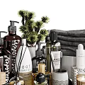Elegant Modern Daily Cleaning Essentials With Bottles Towels Candles Tray And Potted Plants