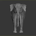 White Low Poly Elephant Sculpture With Minimalist Design And Reflective Base