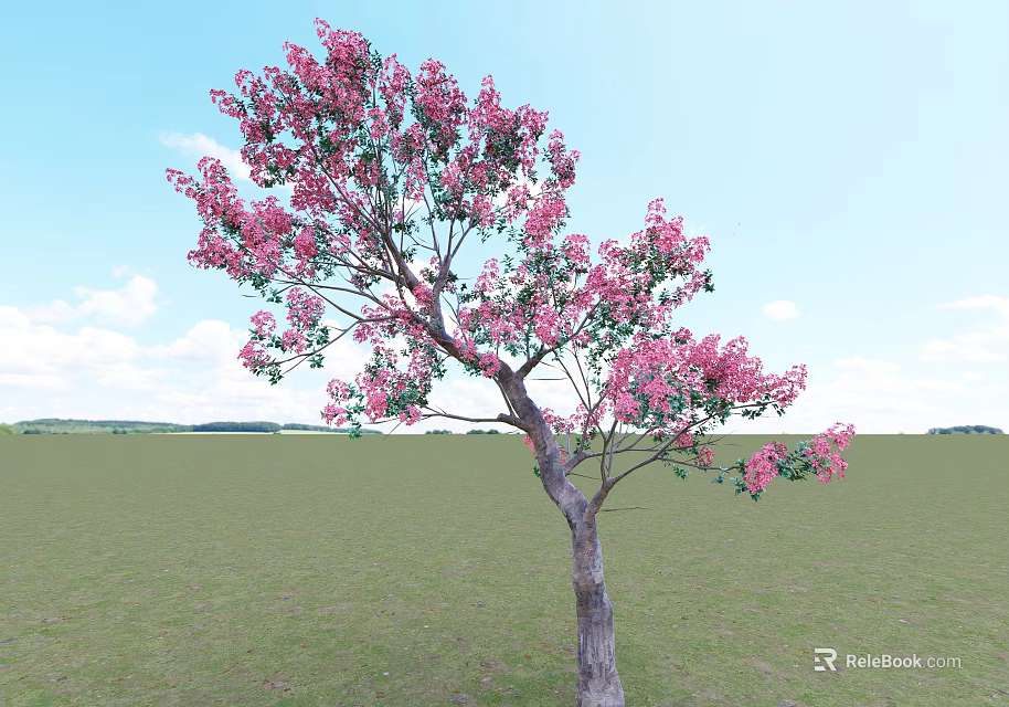 Lush Tree With Pink Flowers In Green Grassland Under Blue Sky And White Clouds 3d model 