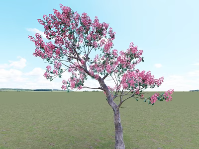 Lush Tree With Pink Flowers In Green Grassland Under Blue Sky And White Clouds 3d model