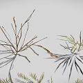 3D Rendered Various Plants Featuring Grass Shrubs Slender Branches And Clustered Leaves In Natural Landscape