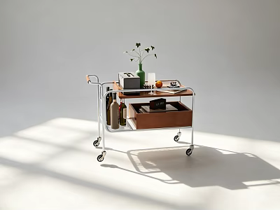 Modern Minimalist Storage Cart With Metal Frame Wooden Shelves Wheels And Decorative Items 3d model