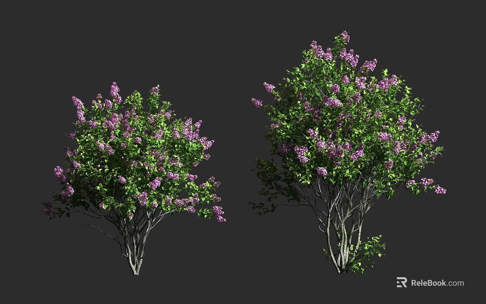 Lush Shrubs With Purple Flowers And Green Leaves For Garden Landscaping 3d model 