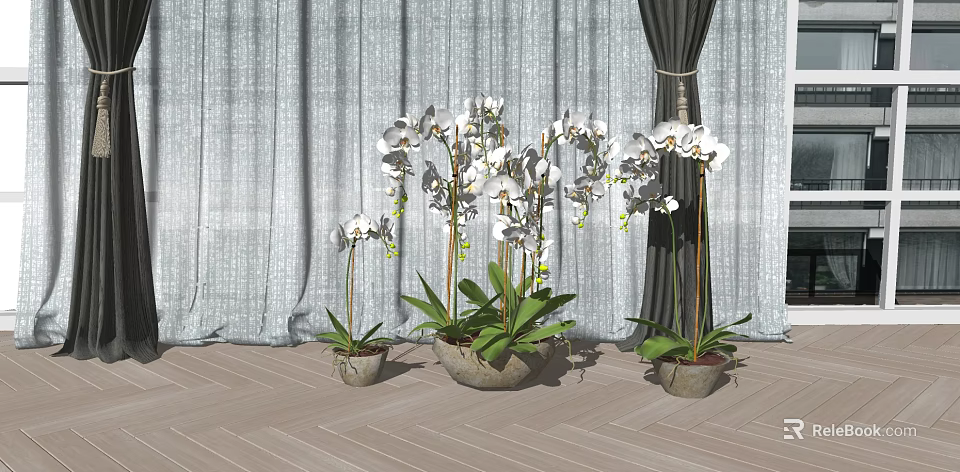 White Orchid Potted Plants Display With Gray Curtains And Wooden Floor 3d model 
