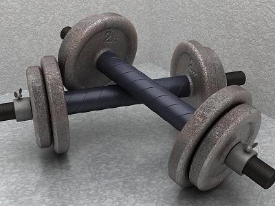 Dumbbell fitness equipment 3d model