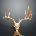 Golden Deer Skull With Large Antlers On Dark Background Showing Reflection