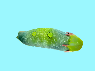Unique Green Creature With Yellow Spots And Red Tips On Light Blue Background 3d model