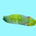 Unique Green Creature With Yellow Spots And Red Tips On Light Blue Background