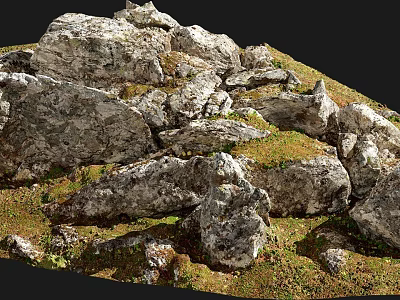 Natural Stone and Wood Elements in Scenic Rocky Grassland Terrain 3d model