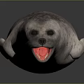 Realistic 3D Spotted Seal With Open Mouth And Red Tongue Lying On Dark Surface